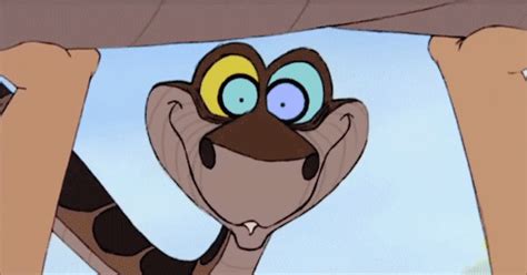 kaa and mowgli s find and share on giphy