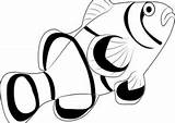 Clownfish Coloring4free Animal sketch template