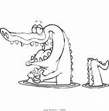Cartoon Drawing Coloring Gators Pages Alligator Florida Crocodile Gator Water Lsu Vector Clipart Getdrawings Happy Wading Outlined Line Drawings Getcolorings sketch template