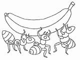 Formigas Carregando Colorir Tudodesenhos Ant sketch template