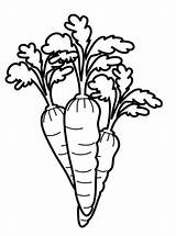 Wortel Kleurplaat Groente Carrot Stemmen sketch template