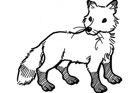 top   printable fox coloring pages  fox coloring page