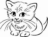 Cute Coloring Pages Cat Ausmalen Katze Wallpaper Clipartkid 1080p sketch template
