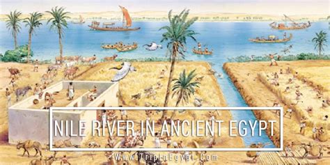 nile river history egypt nile river facts nile river in ancient egypt