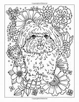 Shih Dog Colouring Coloring Amazon Cute Book Tzus Paws Volume Adults Thought Special sketch template