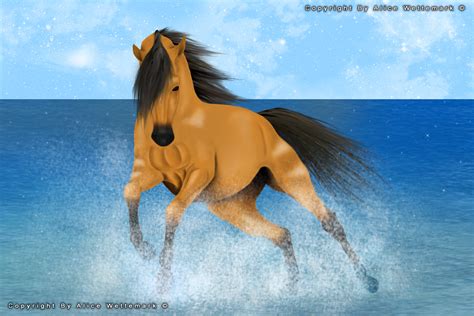 spirit  stallion  spirit  photo  fanpop