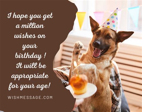 comical happy birthday images funny happy birthday wishes images  memes  art  images