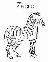Zebra Coloring Pages Realistic Color Stripes Clipart Getcolorings Print Printable Colorings Getdrawings Choose Board sketch template