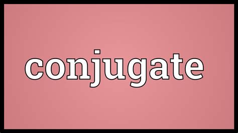 conjugate meaning youtube