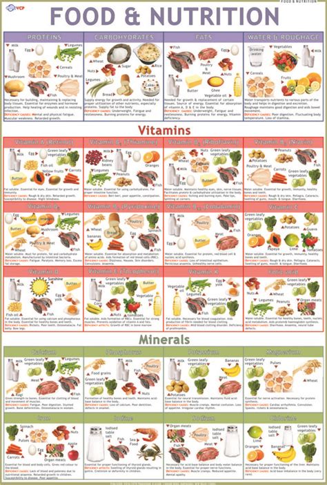 food groups chart dimensions    centimeter cm   price