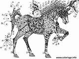 Zentangle Horse Cheval Freimann Circus Jani sketch template