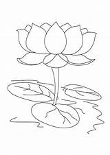 Indiaparenting Draw sketch template