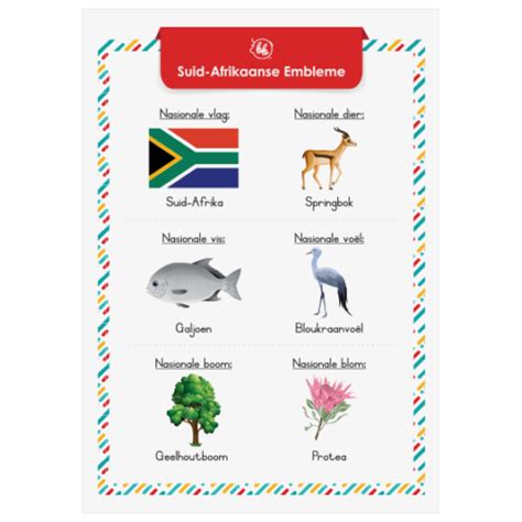 opvoedkundige aflaaibare plakkaat suid afrikaanse nasionale embleme afrikaans besige breintjies