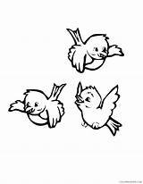 Coloring4free Coloring Pages Bird Preschooler Related Posts sketch template