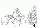 Coloring Burning Bush Moses Printable Comments Sees Library Clipart Sketch sketch template