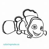 Nemo Coloring Fish Pages Clown Finding Outline Clownfish Squirt Drawing Marlin Clipart Color Cliparts Cartoon Clip Printable Colouring Getcolorings Kids sketch template