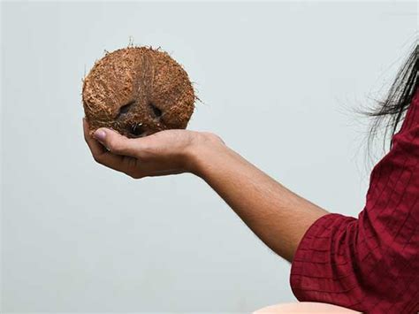 why you must eat coconut during pregnancy