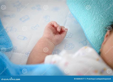 newborn baby boy hand stock image image  cute