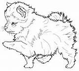Coloring Pomeranian Pages Dog Printable Puppy Beagle English Dachshund Color Drawing Newfoundland Yankees Sheets Hard Old Supercoloring Books Spitz Cute sketch template