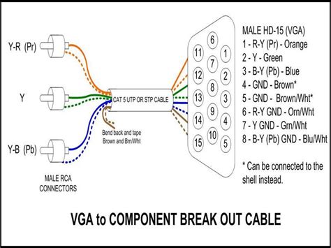 schematic bnc  rca wiring diagram