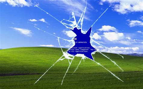 Windows Xp Possible Leak Of The Operating System Source Code