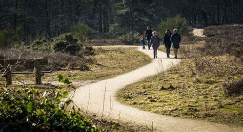 de mooiste wandelroutes  utrecht routesinutrecht nl  xxx hot girl