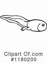 Tadpole Clipart Coloring Legs Illustration Template Prawny Vintage Royalty sketch template