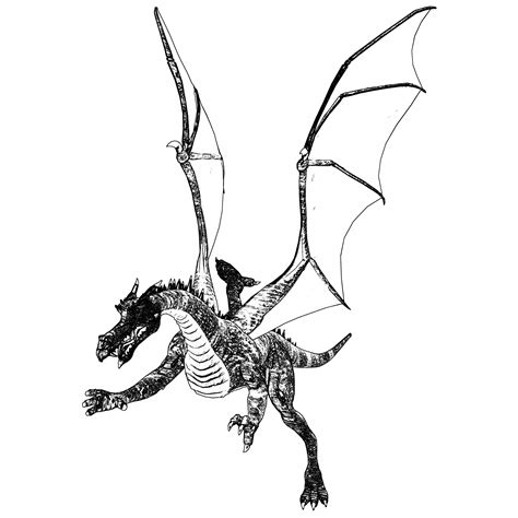 dragon sketch  stock photo public domain pictures