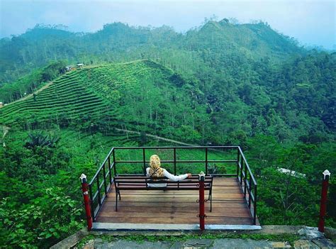 kulon progo resmi jadi desa wisata digital  yogyakarta bakpia