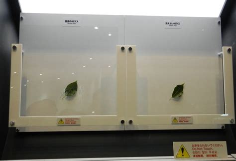 nippon electric showcases quasi invisible glass