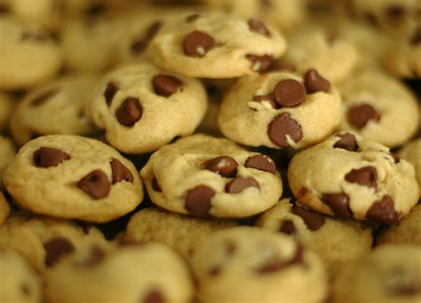 cookies cookies photo  fanpop