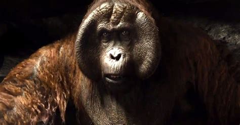 orangutan king louie  gigantopithecus christopher walken  decide