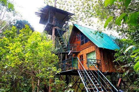treehouse thailand jungle top treehouses