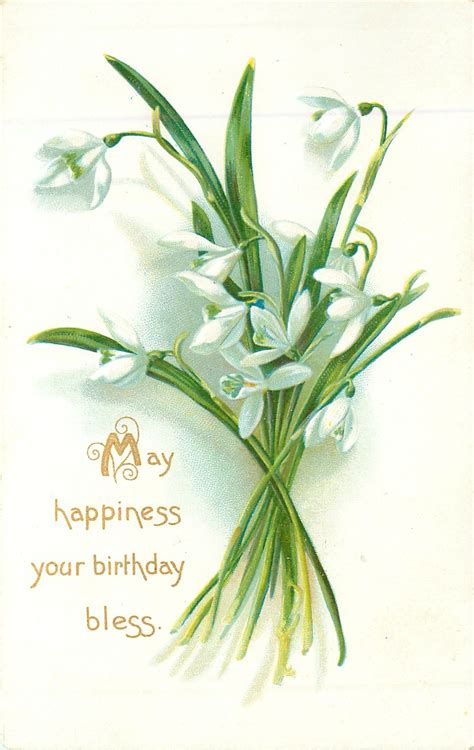 happiness  birthday bless snowdrops tuckdb postcards birthday messages birthday