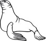 sea lions coloring pages supercoloringcom