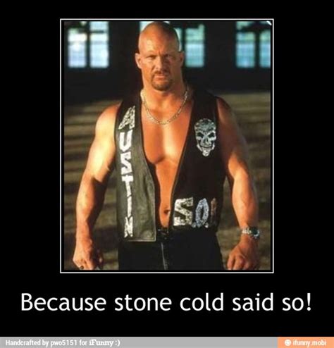 Because Stone Cold Said So Because Stone Cold Said So