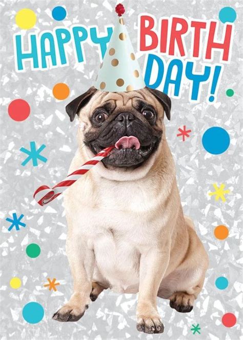birthday pug foil card paper house productions