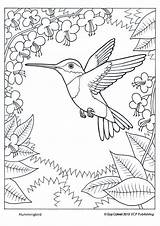 Coloring Pages Sheets Humming Birds Colouring Kids Hummingbird Books sketch template