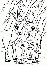 Rudolph Coloring Pages Printable Kids sketch template