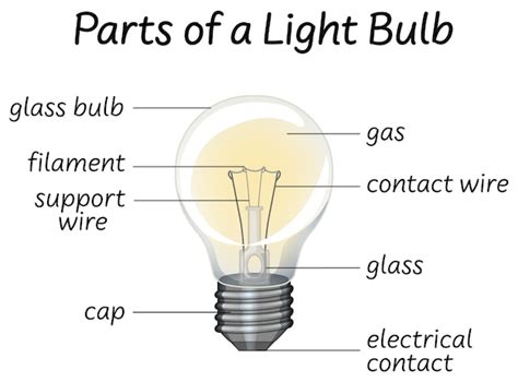 premium vector light bulb infographic