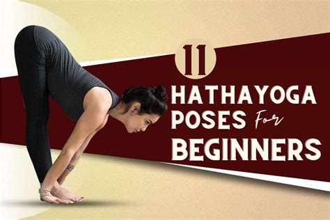 beginner hatha yoga poses vlrengbr
