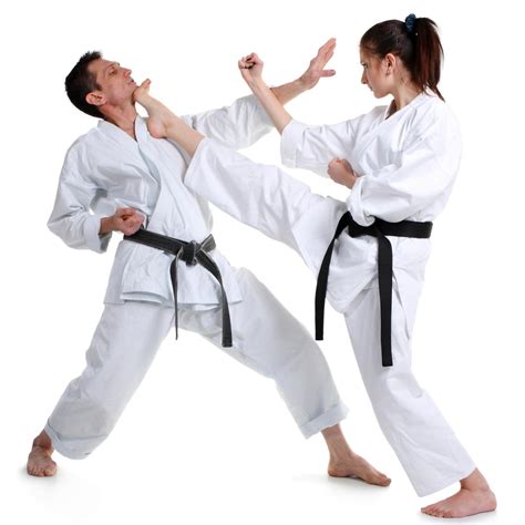 karate moves  guide   basic blocks strikes  kicks sports