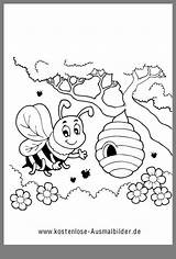 Biene Ausmalbilder Steckbrief Apiculteur Ausmalen Bienen Bijen Kinder Kindergarten Bumblebee Tiere Basteln Kostenlose Abeille sketch template