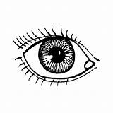 Oog Dibujos Humano Ojo Kleurplaat Menselijk Lichaam Kleurplaten sketch template