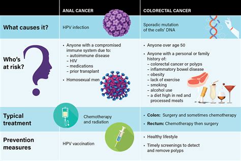 What Is The Difference Between Anal Cancer And Colon Cancer Roswell