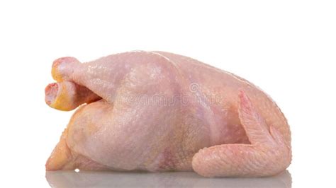 raw chicken carcass isolated  white stock image image
