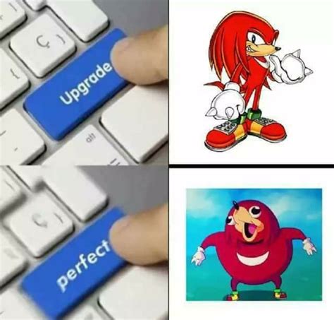 memebase knuckles all your memes in our base funny memes