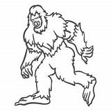 Bigfoot Sasquatch Duotone Knurren Growling Mythical Pie Vexels Caminando Contorno Speichern sketch template