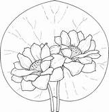 Lilies Supercoloring sketch template