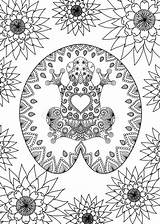 Zentangle Getrokken Volwassen Boekpagina Kleurende Rana Affamata sketch template